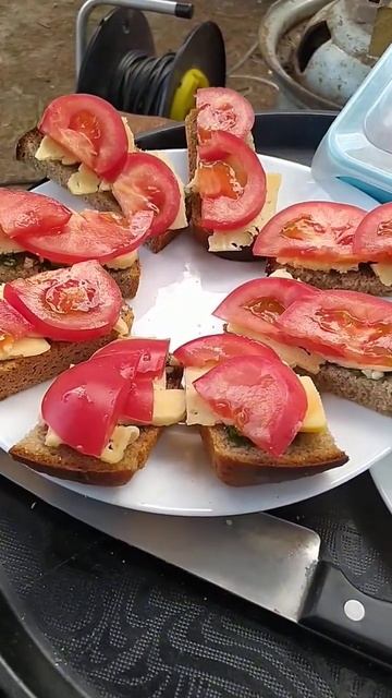 Вкусные бутерброды на мангале#shorts#grill#lunch#sandwich смотреть онлайн