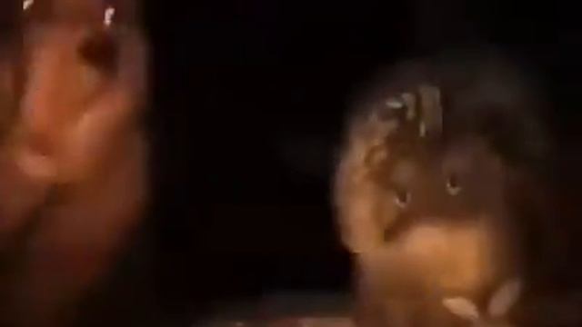 Когда друг приехал с фестиваля Протока 2019 Сияй