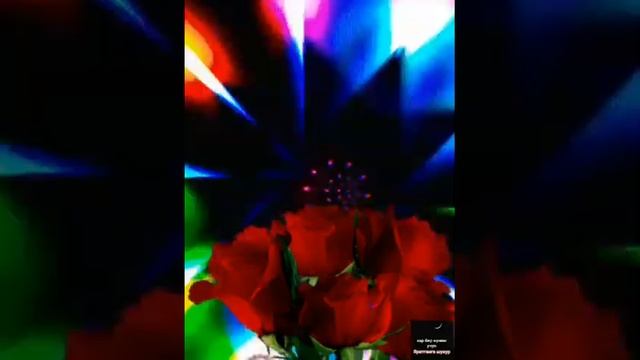 HAYOTDAN OLINGAN USHBU SHE'R...!!! | ХАЁТДАН ОЛИНГАН УШБУ ШЕР ...!!!