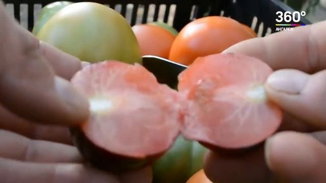 Новости "360° Ангарск" от 16 02 2018 смотреть онлайн