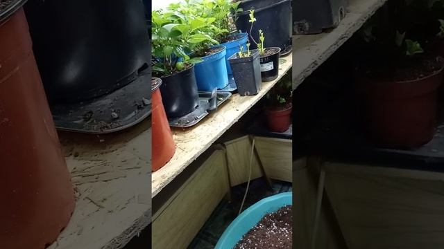 17 февраля 2025 г.