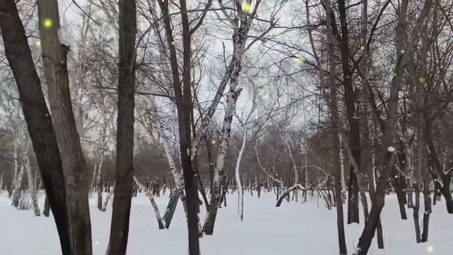 Как вы собираетесь кредит платить, если все деньги на гулянки спускаете - сестра была возмущена смотреть онлайн