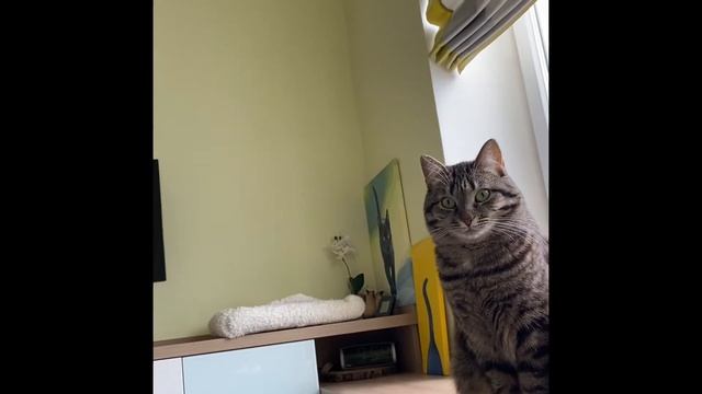 Катя, вставай. Мы там все уронили! смотреть онлайн