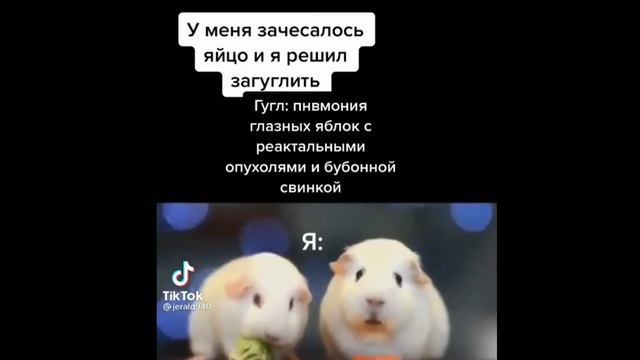 Тик-ток сидит в подвале смотреть онлайн