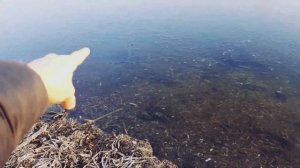 Отсыпка и укрепление берега пруда. Углубление озера