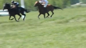 Падение с лошади на скачках. (Сабантуй 2012)