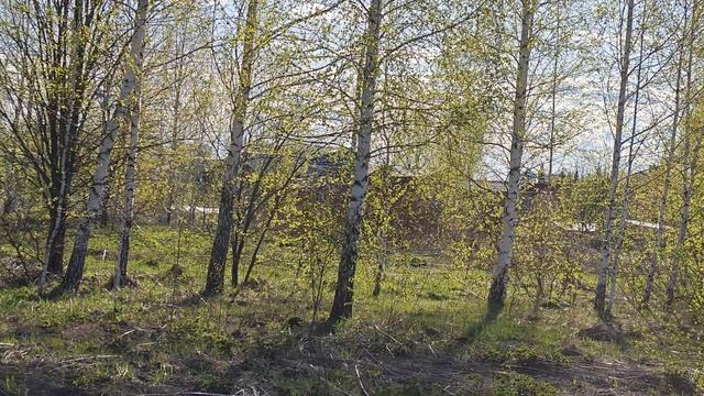 1000055350.mp4 смотреть онлайн