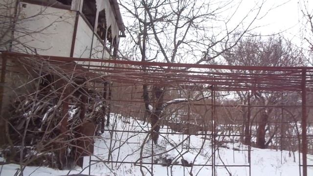 Обрезка персика орехом 30 см., а завтра мороз, сливы бор? смотреть онлайн