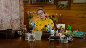 Все подробности технологии АС 35. Шаг 1 - посев