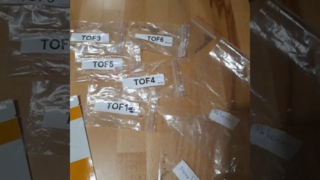 Наш выбор семян томата весна 2022 смотреть онлайн