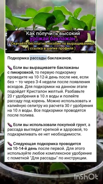 Подкормка рассады баклажанов. Реконструкции подписчи смотреть онлайн