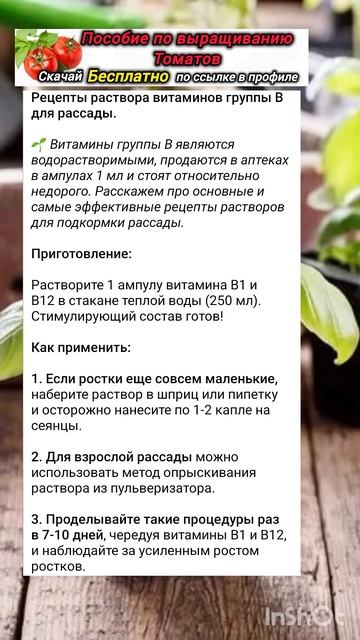 Хитрости выращивания рассады смотреть онлайн