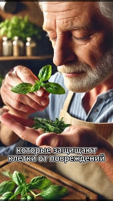 Невероятная польза базилика! #дача #юмор #огород смотреть онлайн