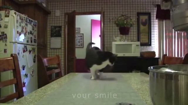 САМЫЕ ЧЕТКИЕ ПРИКОЛЫ 2016-2017 смотреть онлайн