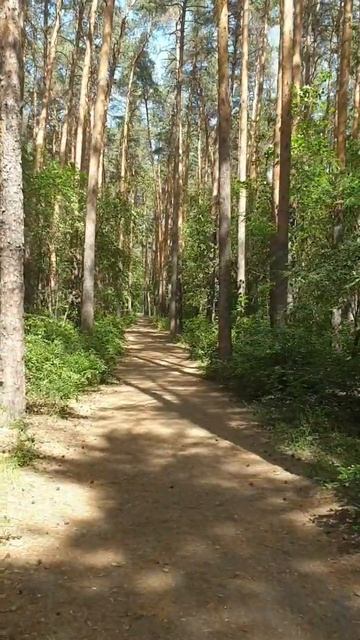 лунный календарь 10.06.23 #астрология #лунныйкалендарь #а? смотреть онлайн