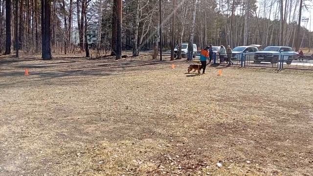 3.  выражено/пож VLATERFOLG SHANEL 2 (Titanium v. Team Panoniansee – Vlaterfolg Venesiya)