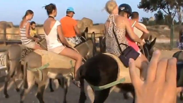 Школа вождения ослов 2 смотреть онлайн