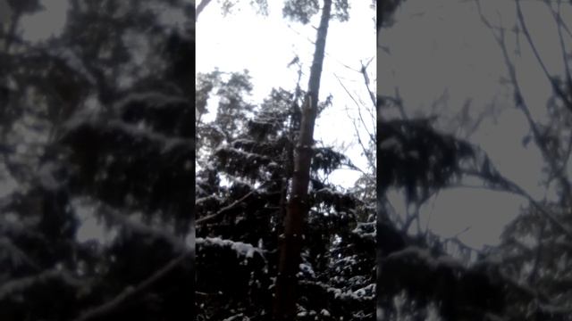 храни вас Бог, друзья!!!