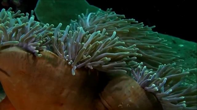 ЛУННЫЙ ГОРОСКОП - 22 ЯНВАРЯ 2025/ СРЕДА/ КАК СЛОЖИТСЯ ВАШ Д смотреть онлайн