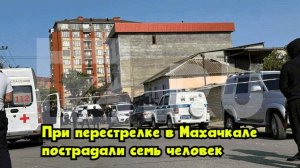 При перестрелке в Махачкале пострадали семь человек