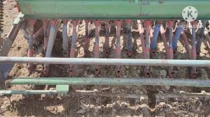 Как не надо готовить поле под посев люцерны