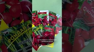 Почему редис бывает ГОРЬКИЙ и ПУСТОЙ?