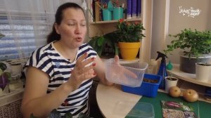 ПОСЕВ ЛУКА ЧЕРНУШКИ НА РАССАДУ в 2025 г. КАК ПРОСТО И БЫС?