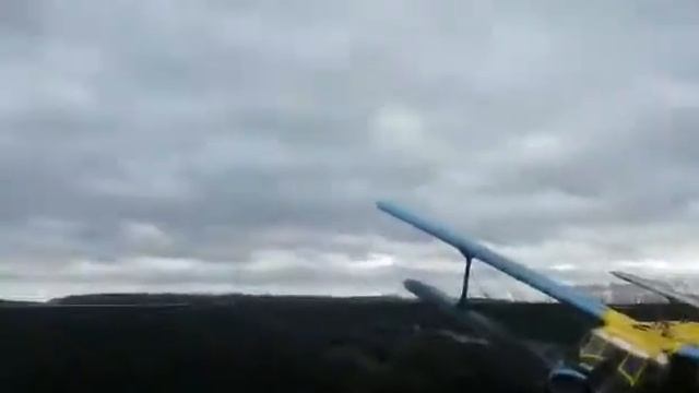 Татарстан Вынужденная посадка самолёта Ан 2 Пострада смотреть онлайн