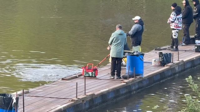 Утро спорт зона смотреть онлайн