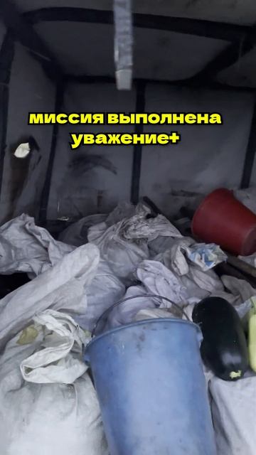 Картошку выкопали / высушили / в погреб высыпали💪 смотреть онлайн