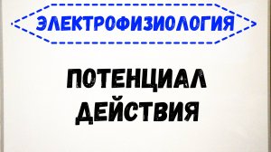 Электрофизиология. Потенциал действия