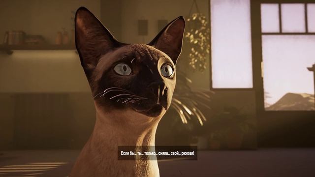 Alfred Hitchcock: Vertigo Прохождение #1