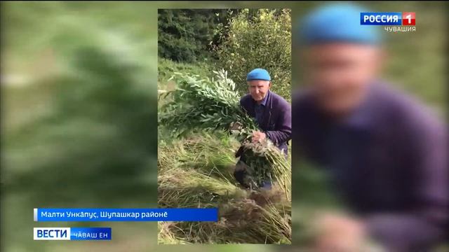 Шупашкар районӗнчи физкультурӑпа туслӑ пенсионер карҫынккасем ҫыхать смотреть онлайн