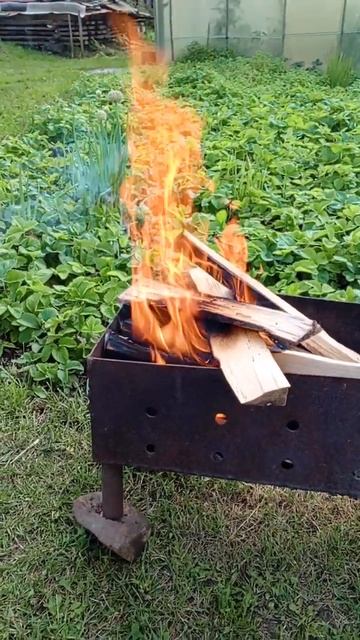 Просто огонь в мангале #огонь #мангал #шашлык смотреть онлайн