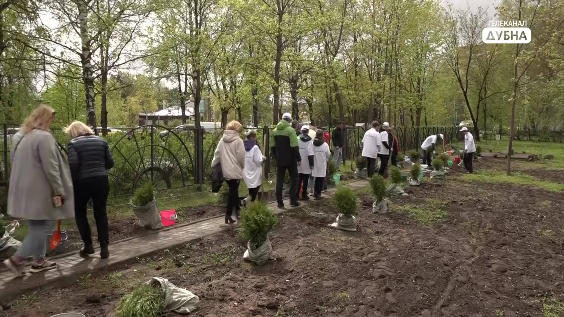 Новые деревья высадили на Аллее Славы в честь 80-летия Победы смотреть онлайн