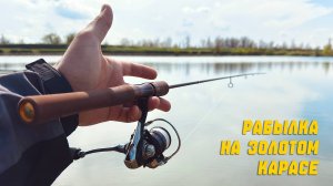 Золотой Карась, Рыбалка по форели 5.05.2025 г.