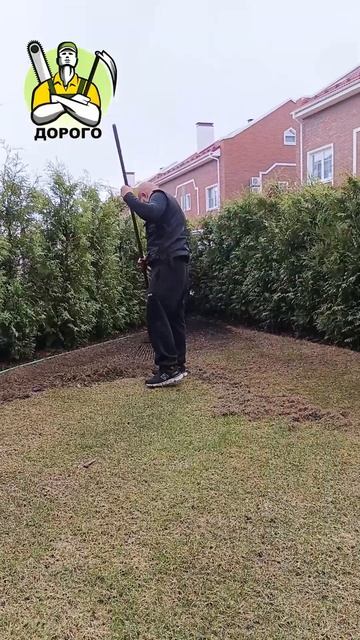 Зачем убирать старую траву и листву?💪#сад#огород#ланд смотреть онлайн