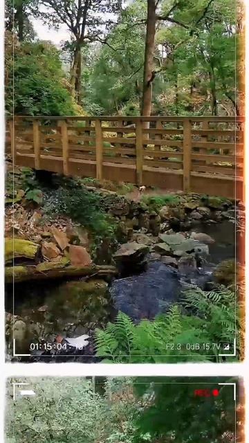 Достопримечательность Озёрного Края. Stanley Ghyll Force. смотреть онлайн