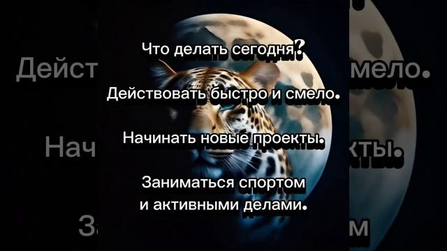 Лунный календарь на 31 марта. смотреть онлайн