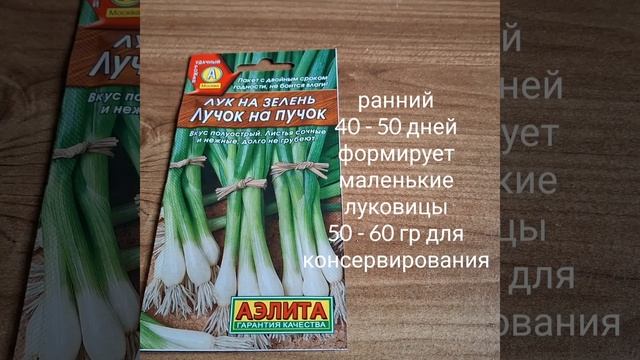 Лук на зелень смотреть онлайн