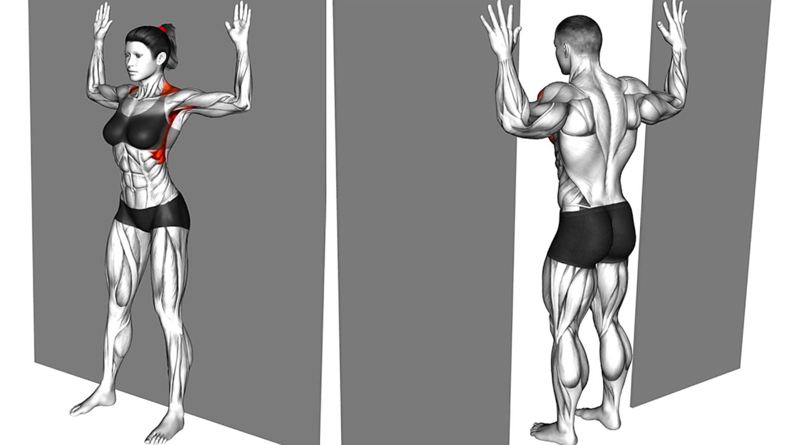 7-минутная тренировка мобильности смотреть онлайн
