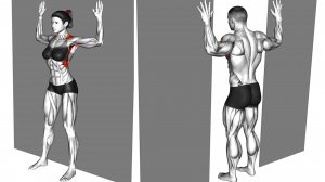 7-минутная тренировка мобильности