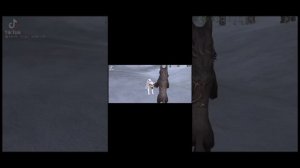 WildCraft подборка видео из тик тока