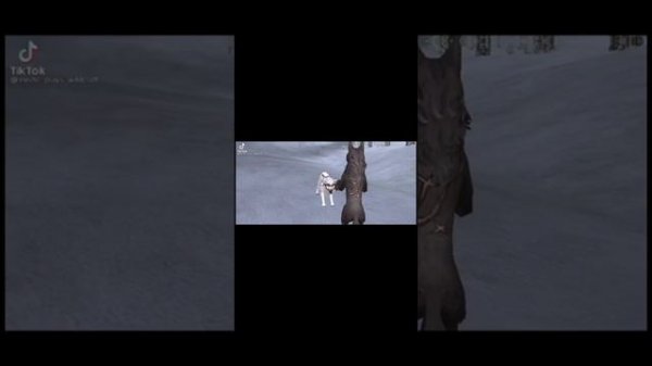 WildCraft подборка видео из тик тока