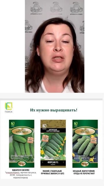 Обязательно посадите ТРИ НОВЫХ гибрида огурца! смотреть онлайн