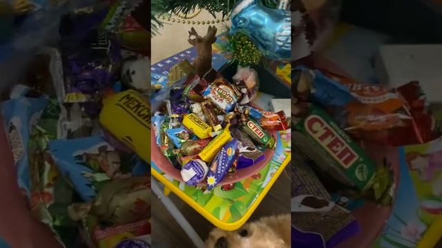Сладкий подарок от Первый снег смотреть онлайн