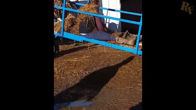 ПРИКОЛЫ & ТОП 30 СМЕШНЫХ МОМЕНТОВ СЕТИ \\ ФЕВРАЛЬ 2019 \\ funny videos смотреть онлайн