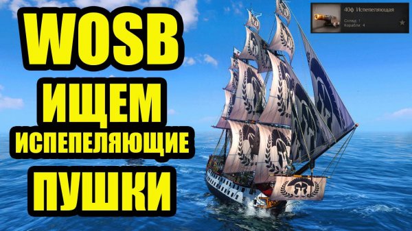 ИЩЕМ ИСПЕПЕЛЯЮЩИЕ ПУШКИ #fedorovplaying #wosb