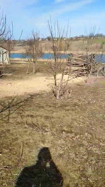 **весенняя обрезка деревьев** первая в жизни#садовод#са смотреть онлайн