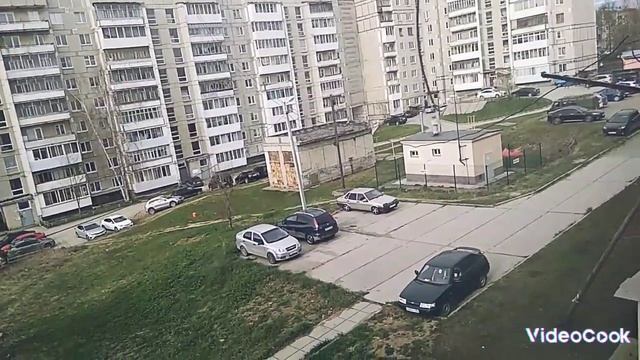 Эксперимент с перцами. Рассада на подоконнике ждёт по?